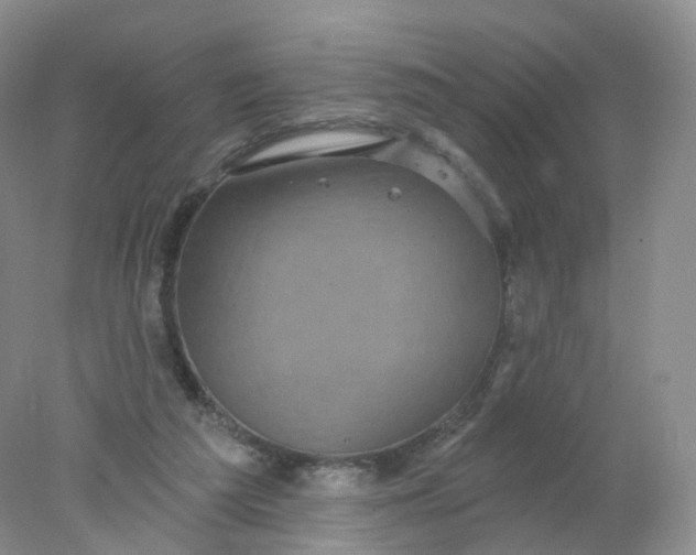 X0000078310209200611172223