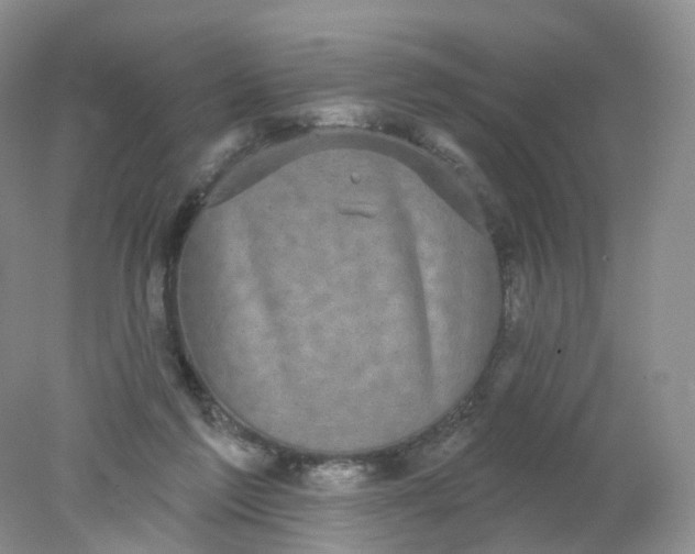 X0000078310213200611172223