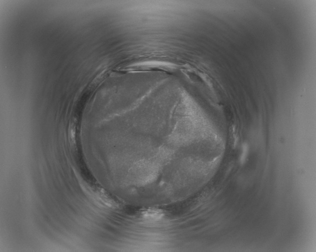 X0000078310214200611172223