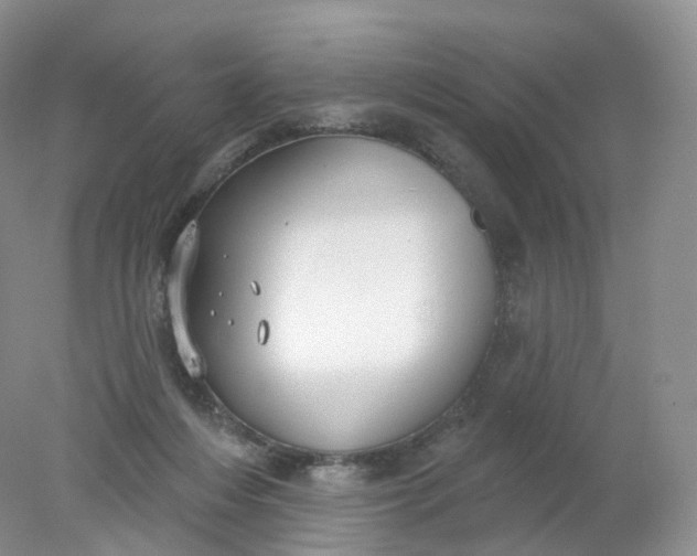 X0000078310216200611172223