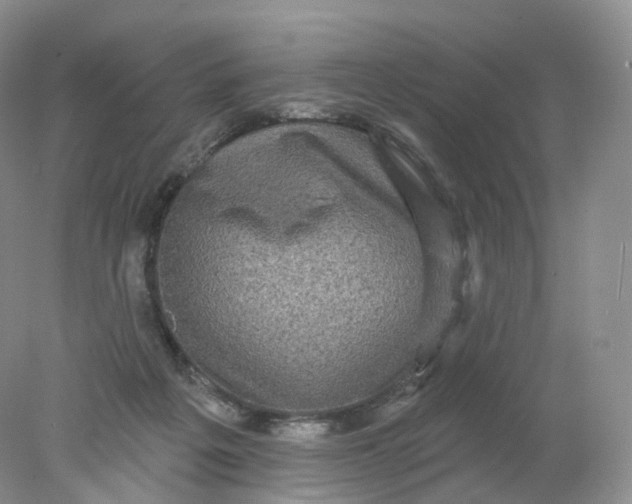 X0000078310217200611172223