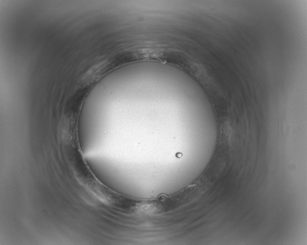 X0000078310218200611172223