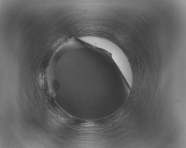 X0000078310219200611172223