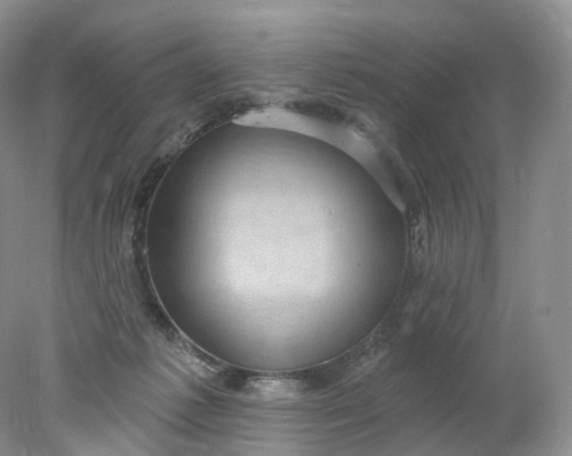 X0000078310221200611172223