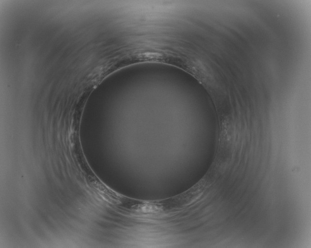 X0000078310223200611172223