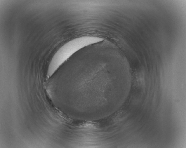 X0000078310224200611172223