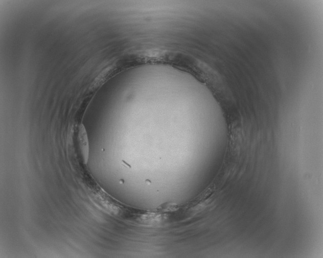 X0000078310225200611172223