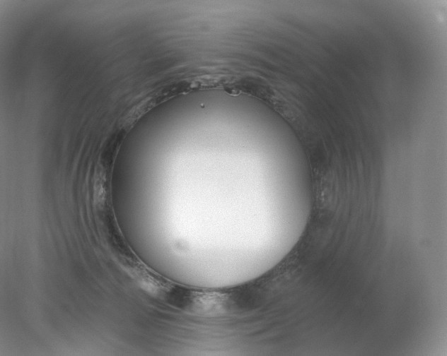 X0000078310226200611172223