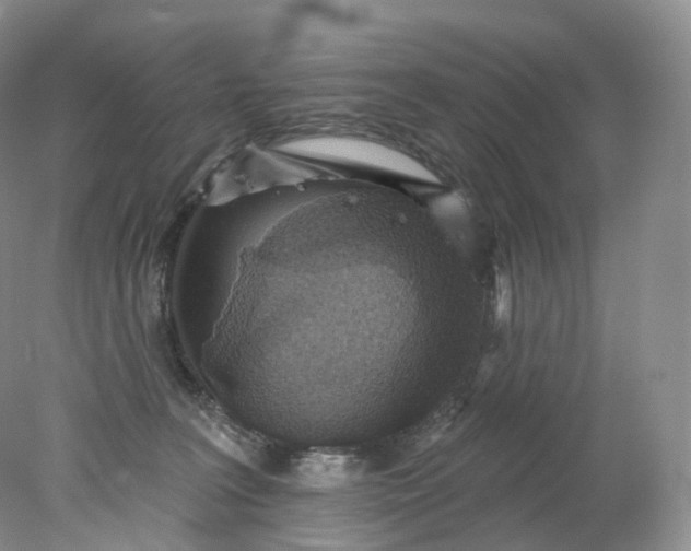 X0000078310227200611172223