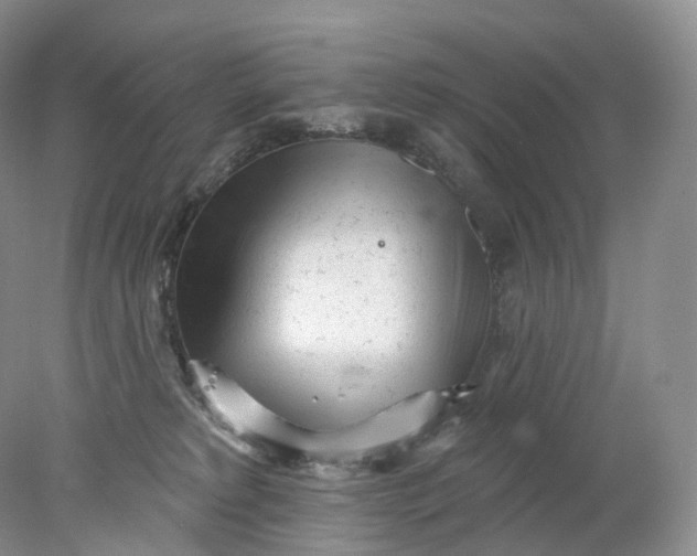 X0000078310229200611172223