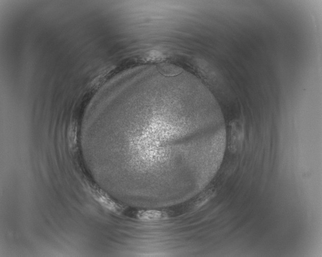 X0000078310230200611172223