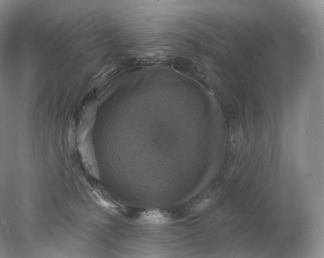 X0000078310231200611172223