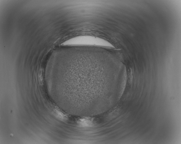 X0000078310232200611172223