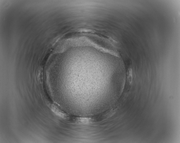 X0000078310233200611172223