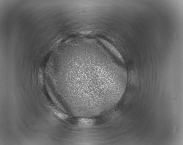 X0000078310234200611172223