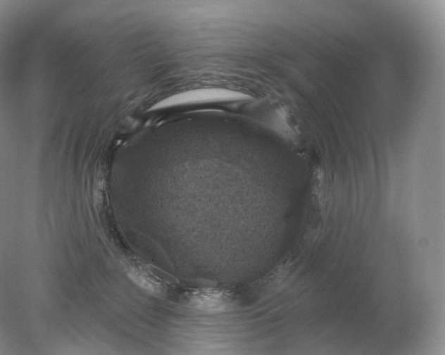 X0000078310235200611172223