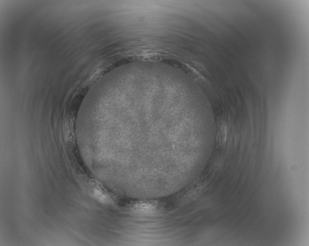 X0000078310236200611172223