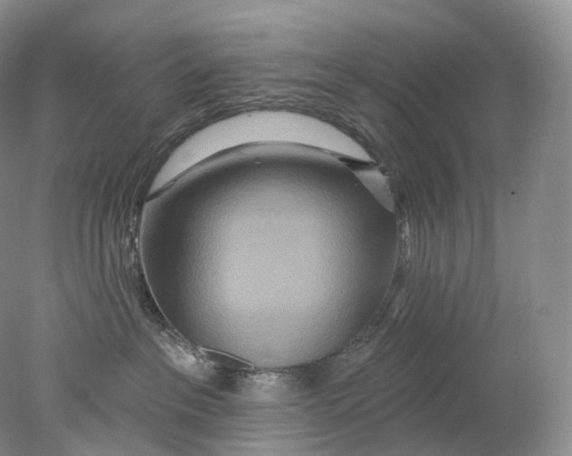 X0000078310237200611172223