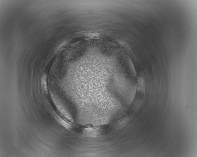 X0000078310238200611172223