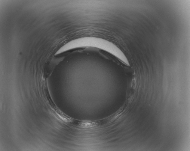 X0000078310239200611172223