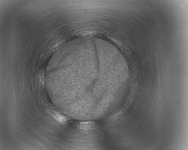 X0000078310240200611172223