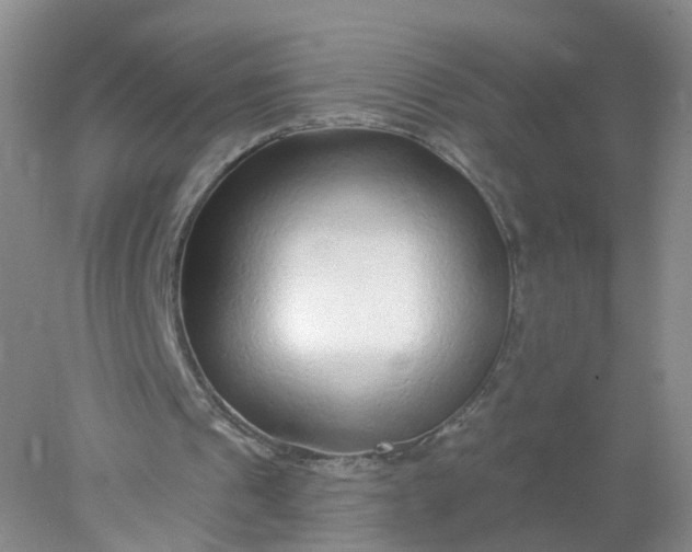 X0000078310241200611172222