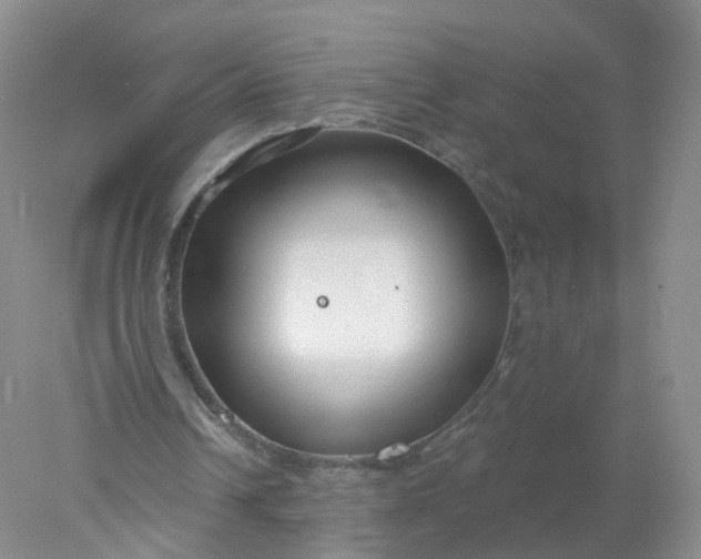 X0000078310242200611172222