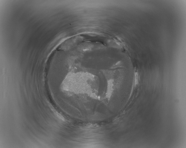 X0000078310243200611172222