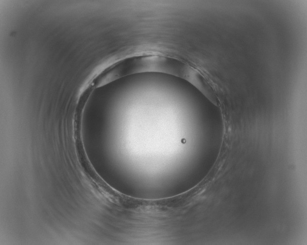 X0000078310244200611172222