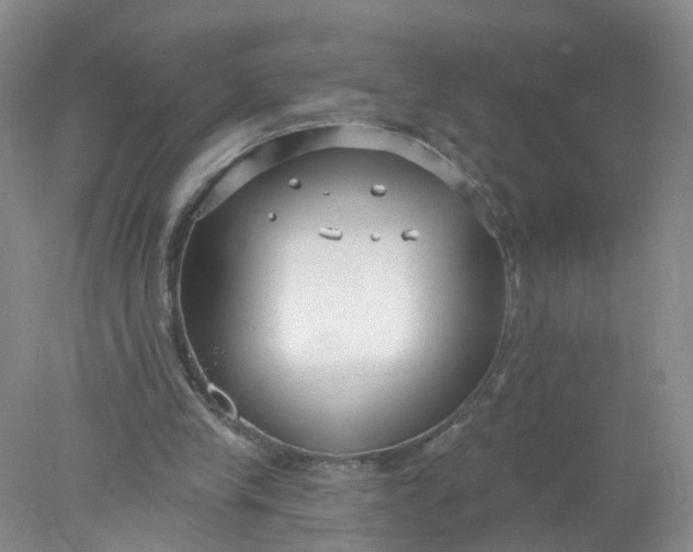 X0000078310245200611172222