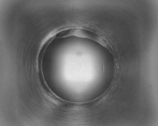 X0000078310246200611172222