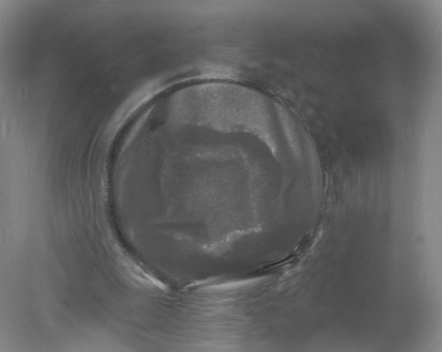 X0000078310247200611172222