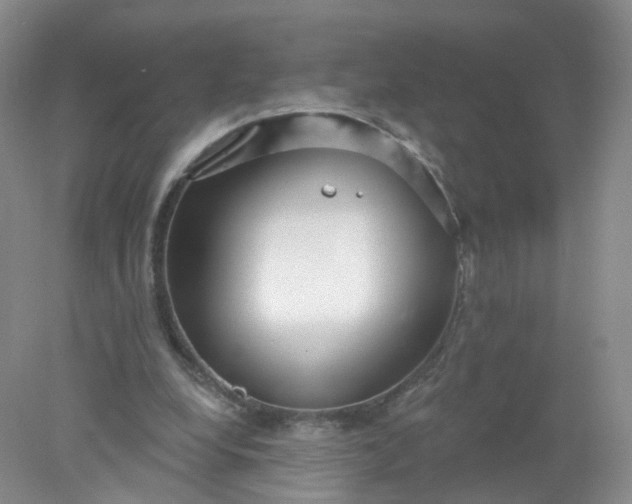 X0000078310248200611172222