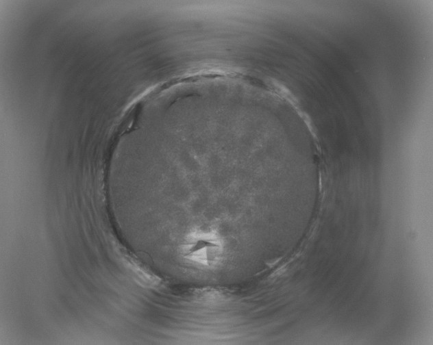 X0000078310249200611172222