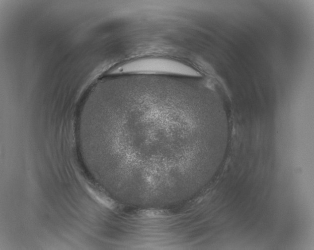 X0000078310250200611172222