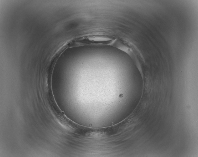 X0000078310251200611172222