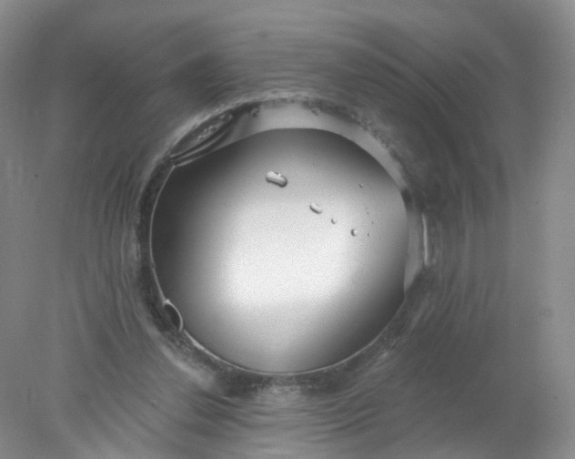 X0000078310252200611172222