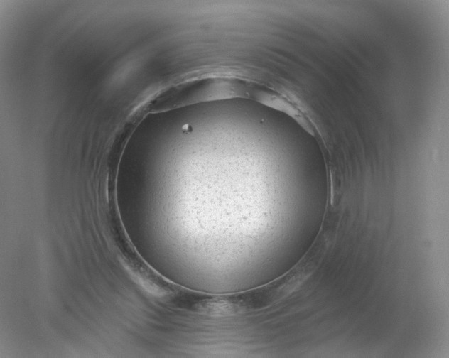 X0000078310253200611172222