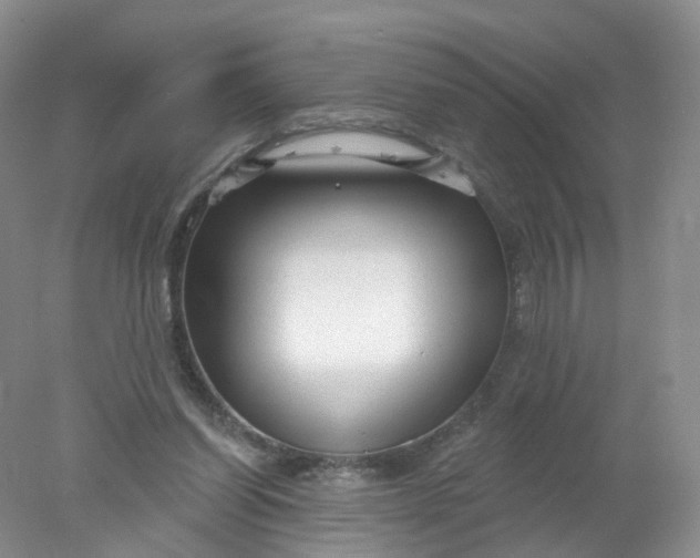 X0000078310254200611172222