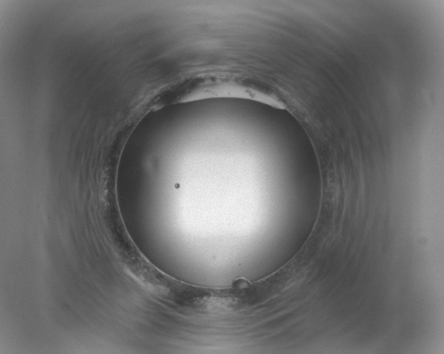 X0000078310255200611172222