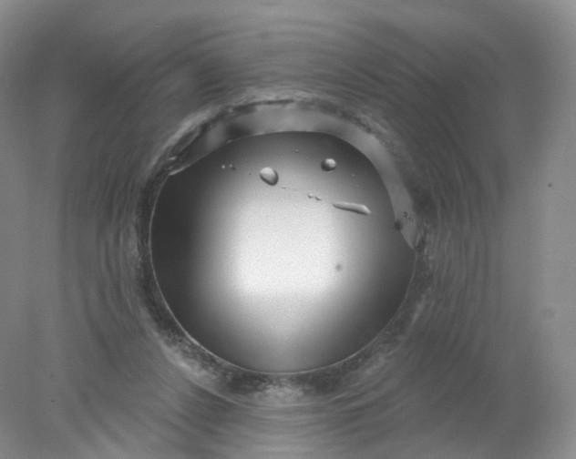 X0000078310256200611172222