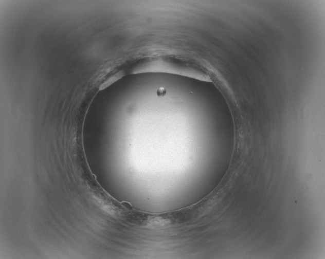 X0000078310257200611172222