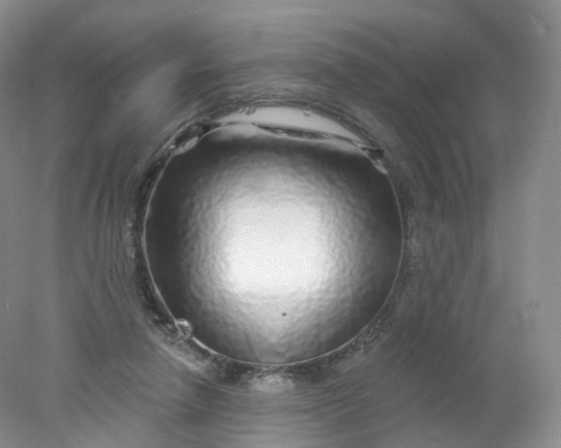 X0000078310258200611172222