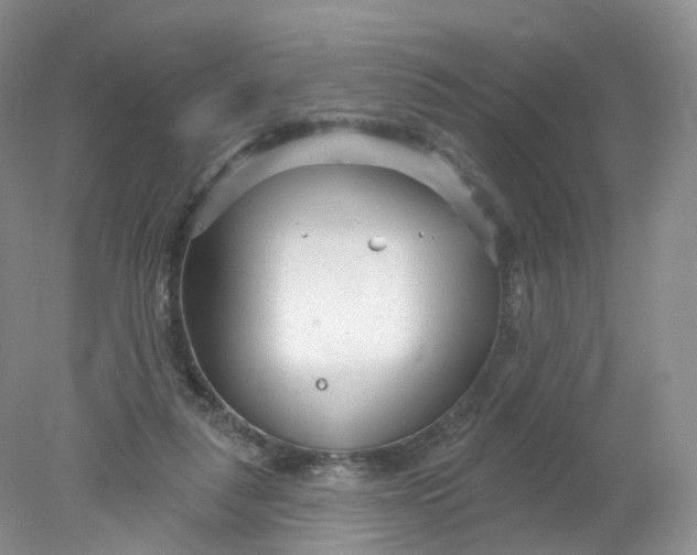 X0000078310259200611172222