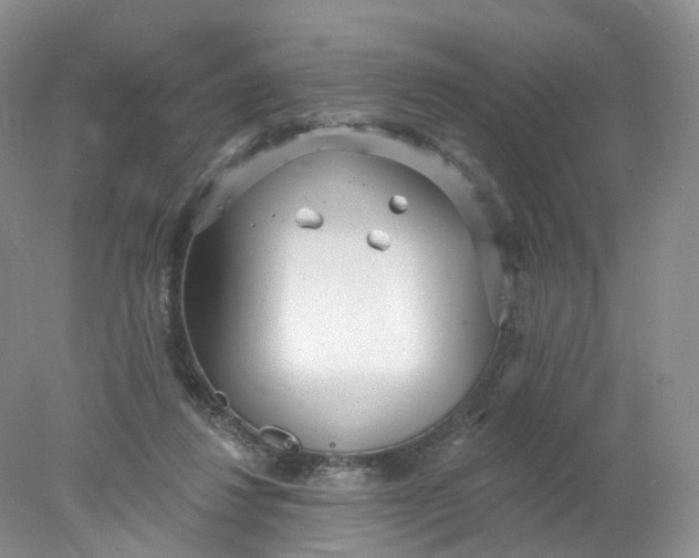 X0000078310260200611172222