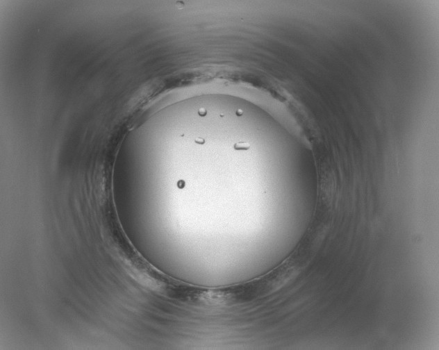 X0000078310261200611172222