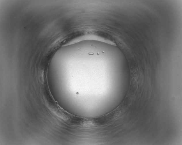 X0000078310262200611172222