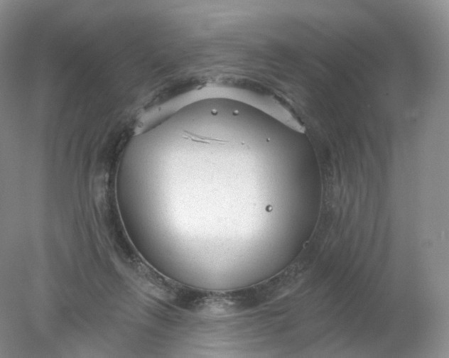 X0000078310263200611172222