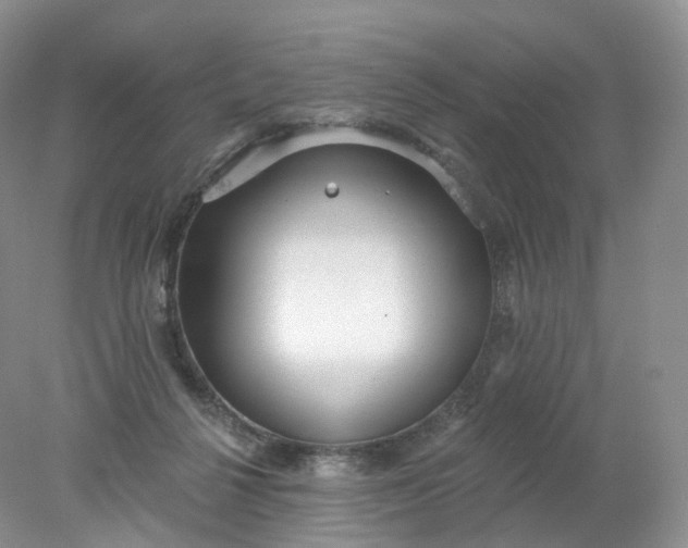 X0000078310264200611172222