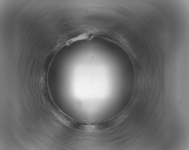 X0000078310265200611172222